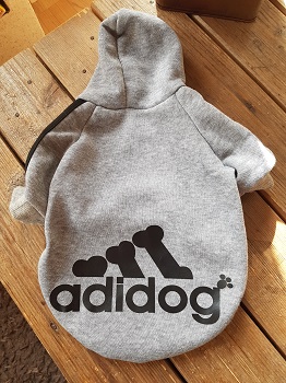 Tshirt sport « Adidog » pour chien